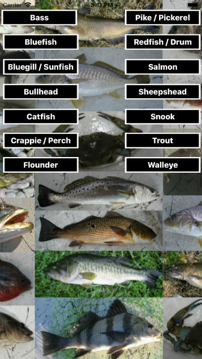 Fishing Scale App - Weigh your fish without hanging by jaw